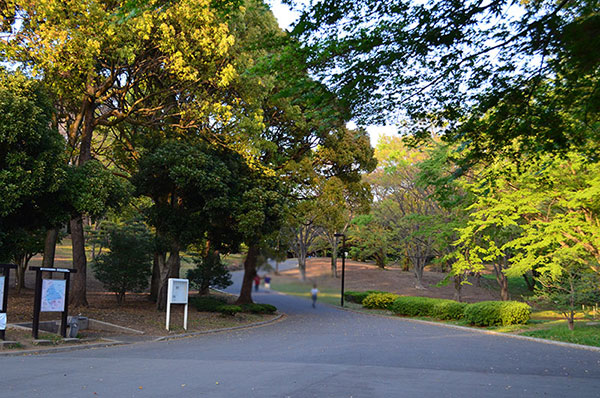 代々木公園（渋谷区）で居抜きで飲食店を開業するための街情報