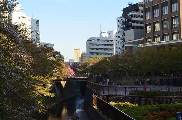 目黒川