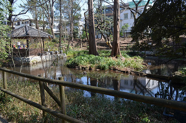 おとめ山公園