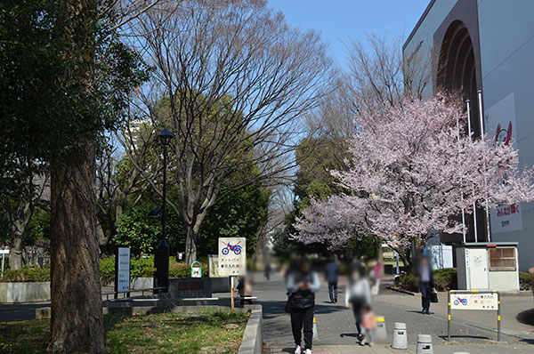 戸山公園