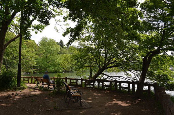 井之頭恩賜公園