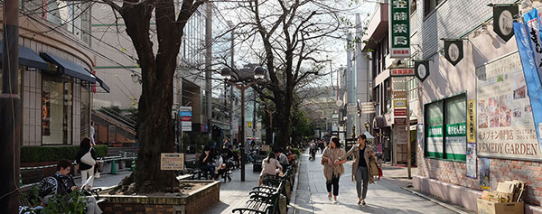 目黒区｜自由が丘はどんな街？居抜きの物件で飲食店開業するための街情報