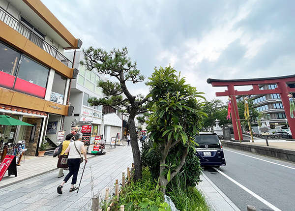 鎌倉の人気観光エリア「若宮大路」沿い！
前面ガラス張りで視認性良好な居抜き店舗